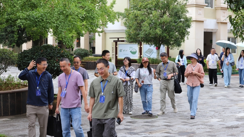 1759021538513021186.jpg 45.jpg